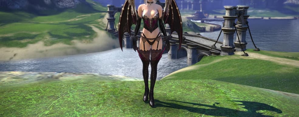 Западный издатель MMORPG TERA объявил о своем закрытии