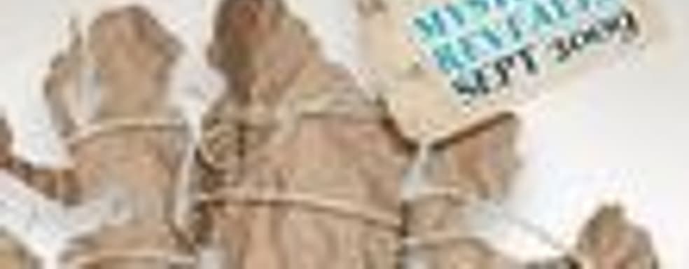 Relentless делает Blue Toad Murder Files для PSN