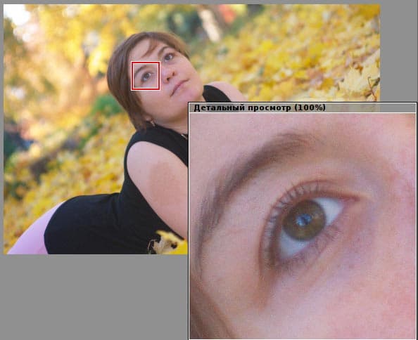 Детальный показ фрагмента изображения с помощью лупы в RAW Therapee