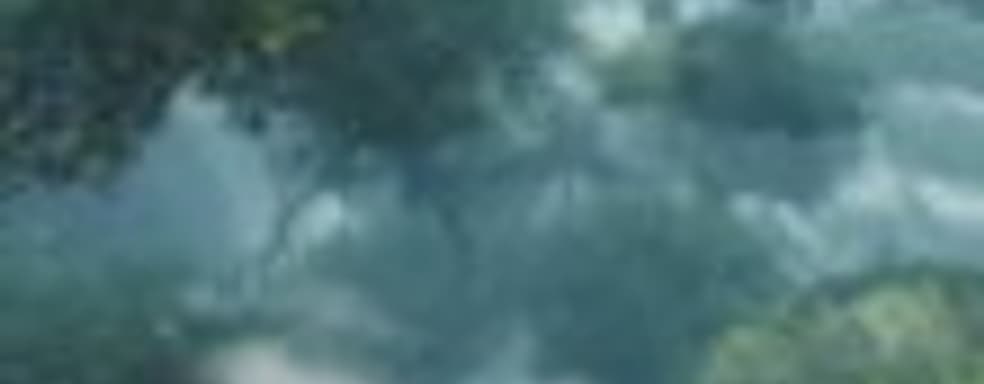 Дополнение Guild Wars 2: Heart of Thorns