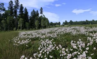 Вот как бы выглядела обновленная Kingdom Come для PS5 и XSX. Фанаты показали улучшенную игру с трассировкой лучей