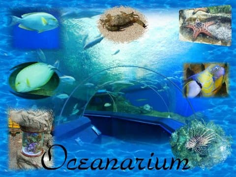 Готовый коллаж