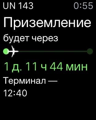 Умные часы Apple Watch Sport