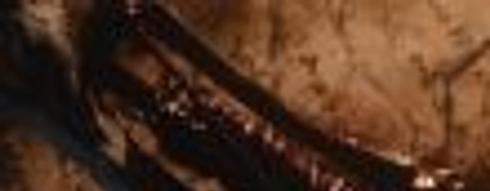 Shadows Die Twice – тизер нового проекта From Software