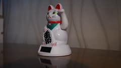 Видеосъемка фотоаппаратом Nikon D500