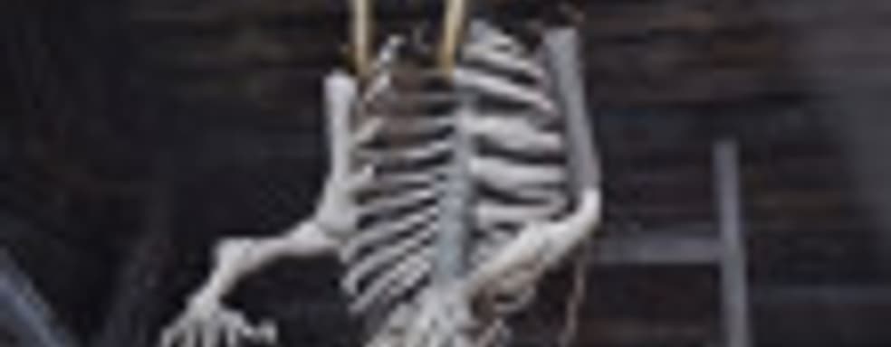 Хакеры-некроманты - в Red Dead Redemption 2 появились двухголовые скелеты