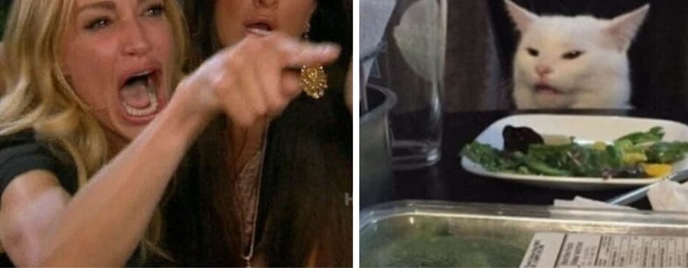 В The Sims 4 воссоздали мем «девушка орёт на кота»