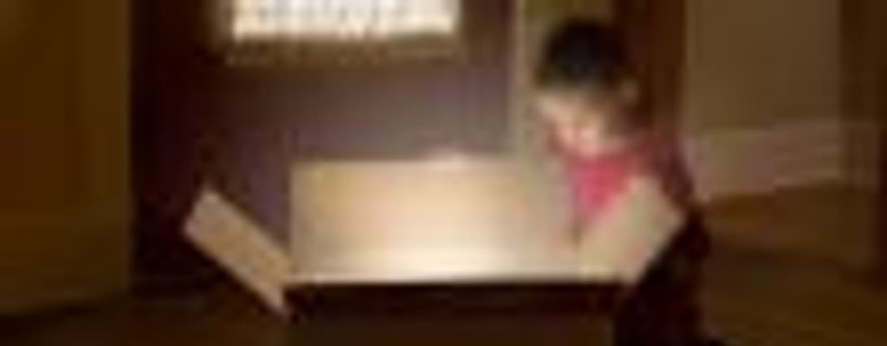 Власти Нидерландов могут запретить некоторые игры с контейнерами