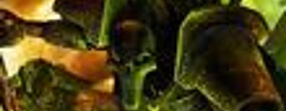 Relic работает над Dawn of War 2?