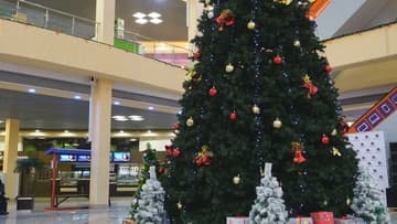 Видеосъемка фотоаппаратом Sony Alpha ILCE-7RM2