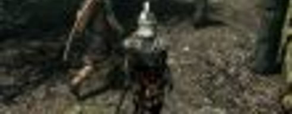 В обозримом будущем все желающие смогут сыграть в Skyrim вместе с друзьями благодаря моду