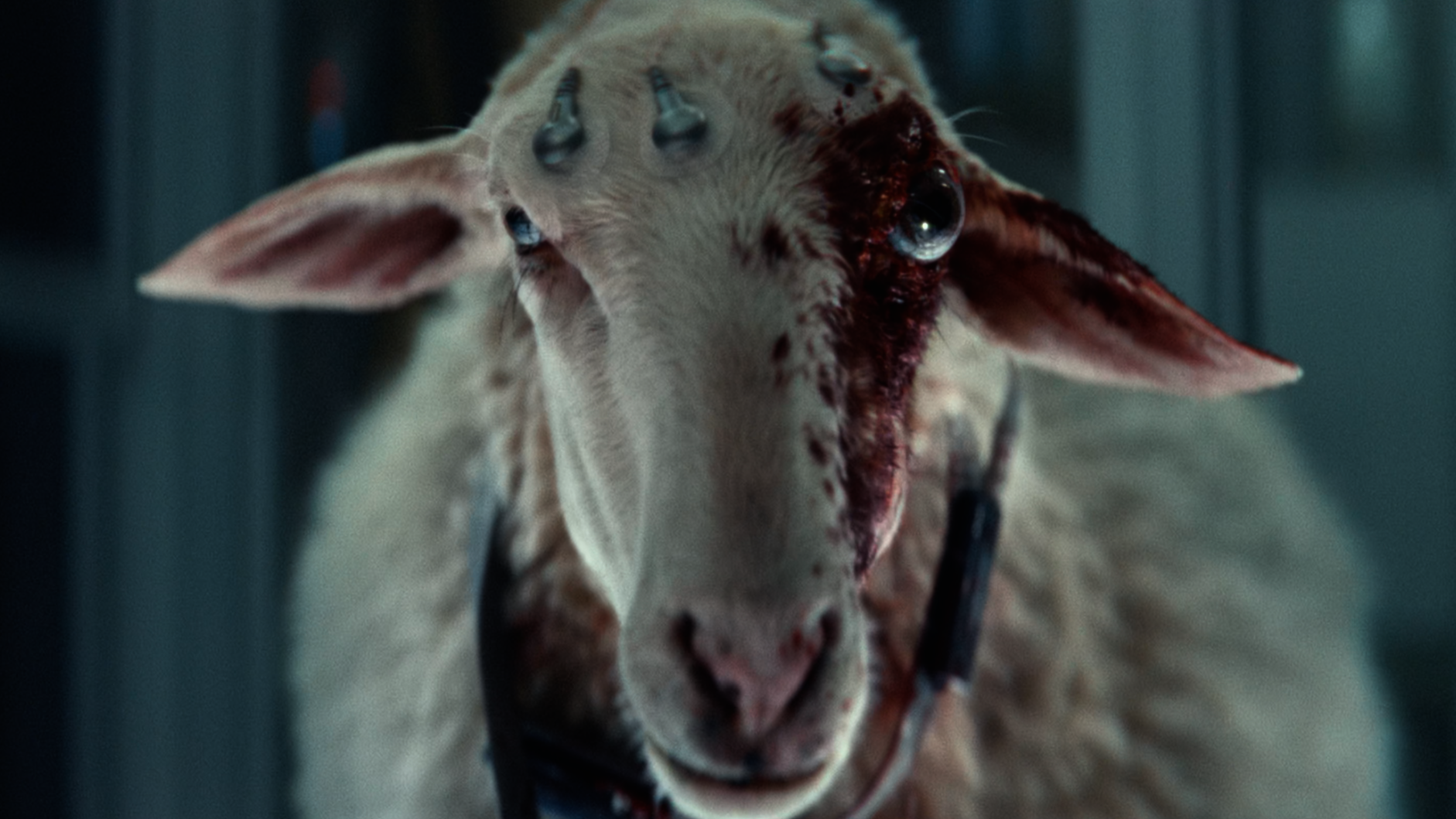 Кадр из сериала «Чужой: Земля»