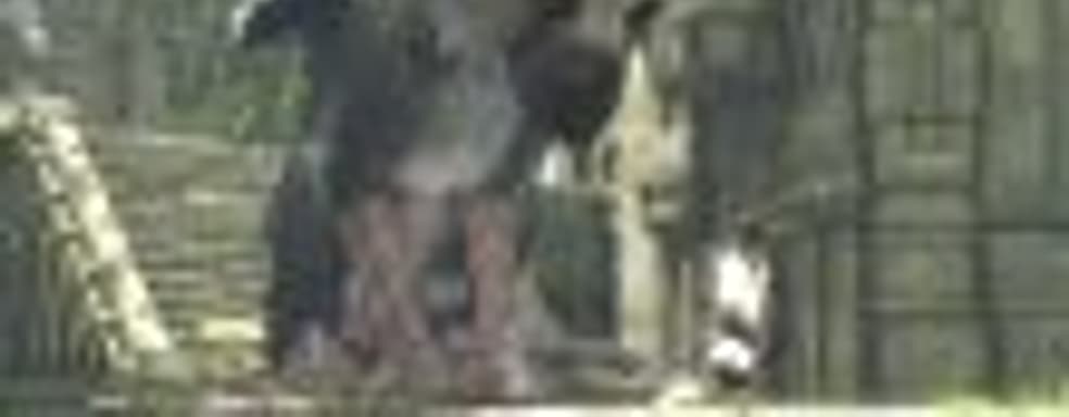 Оценки The Last Guardian