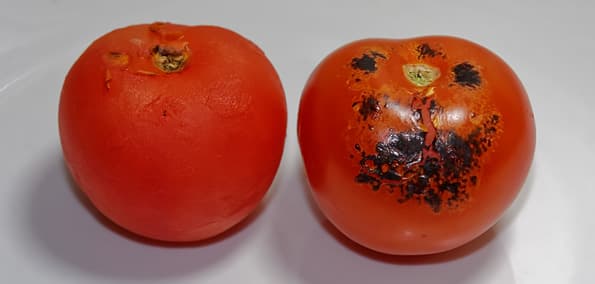 Кулинарная горелка Tristar YB-2611