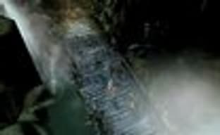 Confrontation в продаже