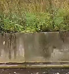 Экшн-камера Yi 4K Action Camera