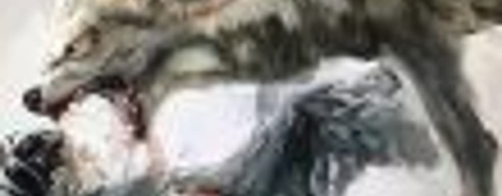 Студия-разработчик PS4-эксклюзива Wild ищет новых сотрудников