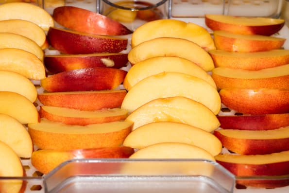 Дегидратор Gochu D-310