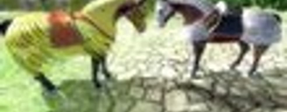 В MGS V появится броня для коня <strike>из Oblivion</strike>