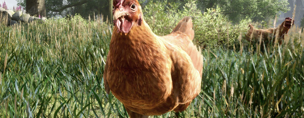 Оценки игроков Hogwarts Legacy на Metacritic не совпадают с мнением журналистов. Появились первые пользовательские оценки