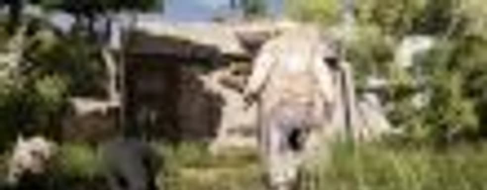 Die Young - выжить на острове