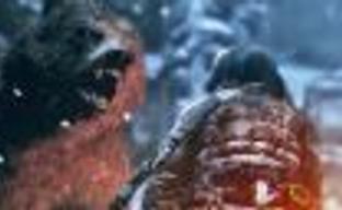 Rise of the Tomb Raider в комплекте с видеокартами от Nvidia