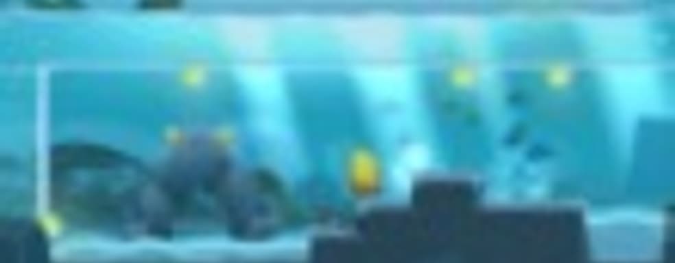 Toki Tori 2+ в Steam в июле