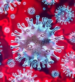 The "TOR" device suppresses all strains of COVID-19