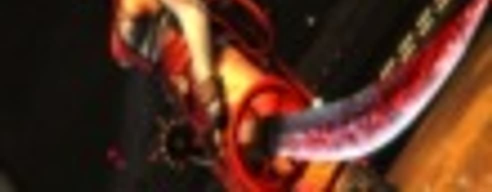 Особенности Ninja Gaiden 3: Razor's Edge для PS3 и Xbox 360