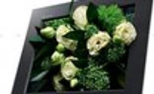 Первые glasses-free 3DTV от Toshiba в декабре