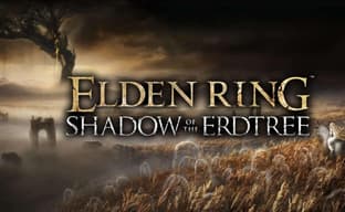 Слух: на The Game Awards покажут дополнение Elden Ring