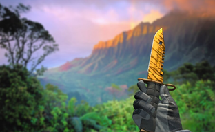 Игрок CS GO спустя 9 лет открыл инвентарь и узнал, что он стоит почти полмиллиона долларов. Неожиданная прибыль, изменившая жизнь