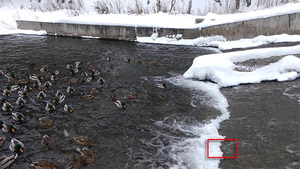 Видеосъемка фотоаппаратом Panasonic DMC-FZ300