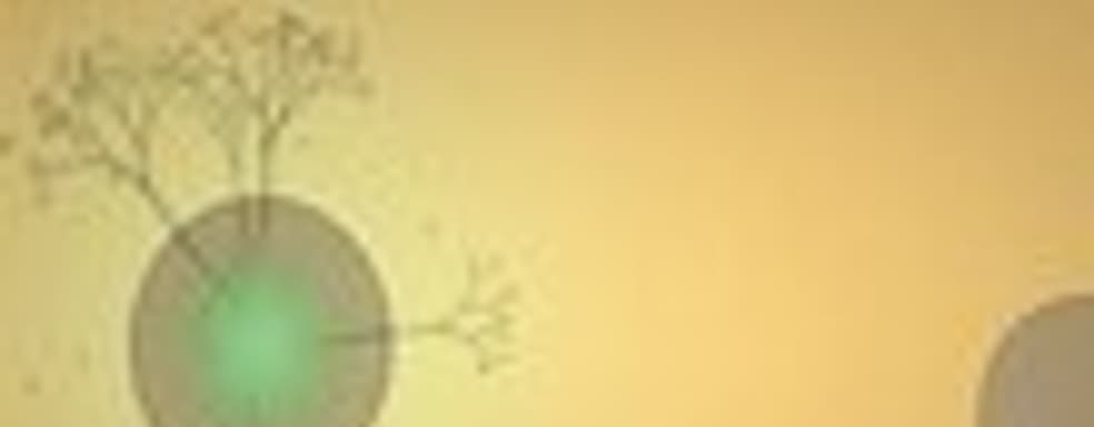 Eufloria для PSN в июне