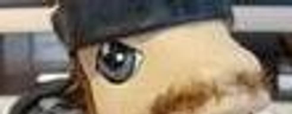 Solid Snake My Little Pony: теперь ты видел всё