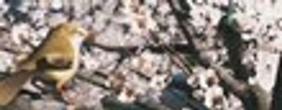 Техно-демо Nintendo Wii U 