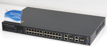 Vivitek, Delta Vivitek, Delta