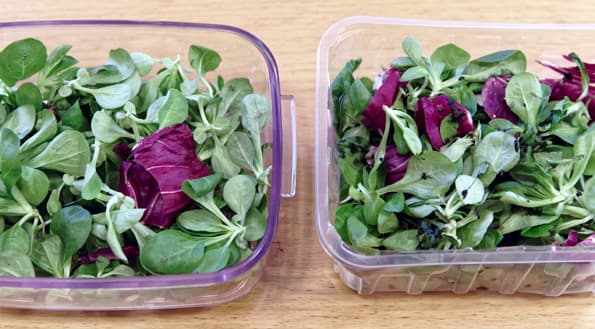 Вакууматор Status SV2000