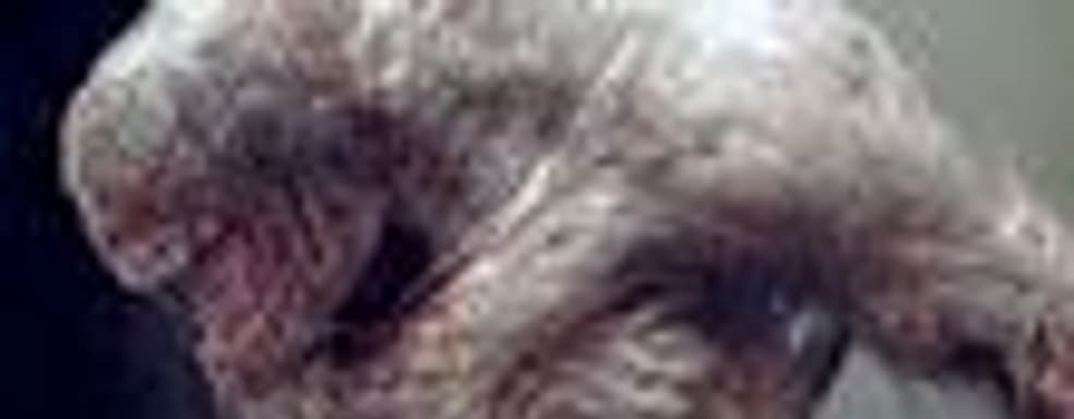 Кармак: Doom 4 будет в три раза красивее Rage