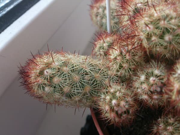 Обзор смартфона Sony Xperia TX