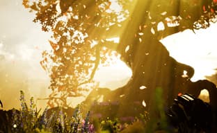 От коронавируса умерла одна из создательниц Hellblade