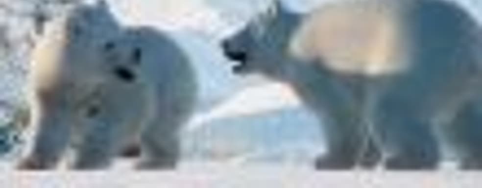 Снег и звери – трейлер дополнения Arctic Pack для Planet Zoo