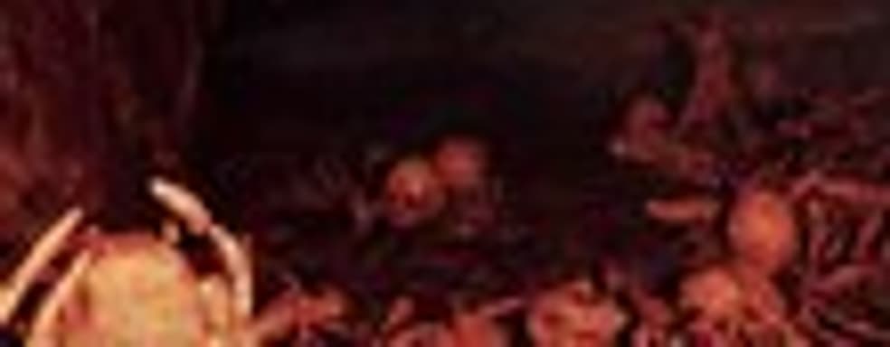 Gamescom-демонстрация ужастика Agony