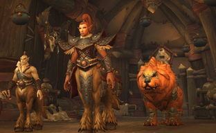 Blizzard добавит в WoW глухого персонажа. Инклюзивность обеспечит сурдопереводчик, которого тоже введут в игру