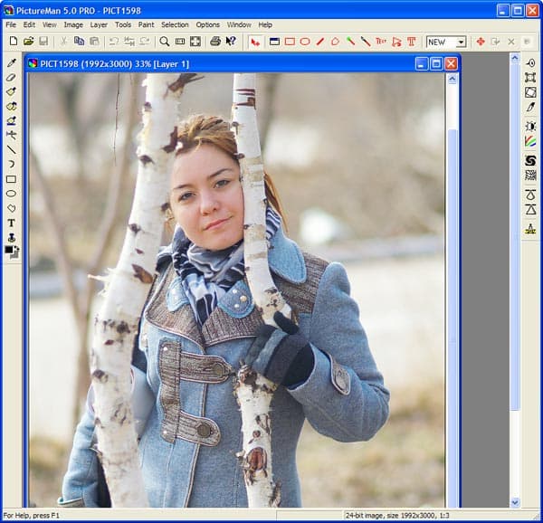 Рабочее окно PictureMan