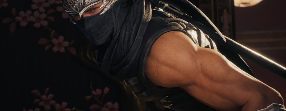 Team Ninja советует убрать интерфейс в Ninja Gaiden 2 Black для максимальной сложности