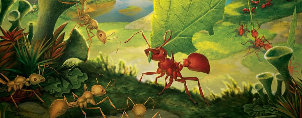 Цивилизация в крохотном мире: открылся предзаказ на настольную 4X-стратегию «Марш муравьёв. Улучшенное издание»