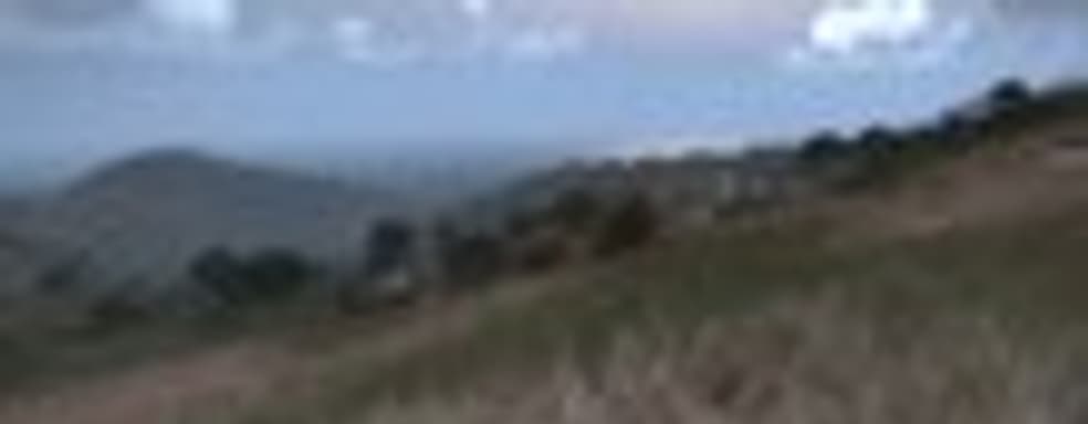 Е3-демонстрация ArmA III