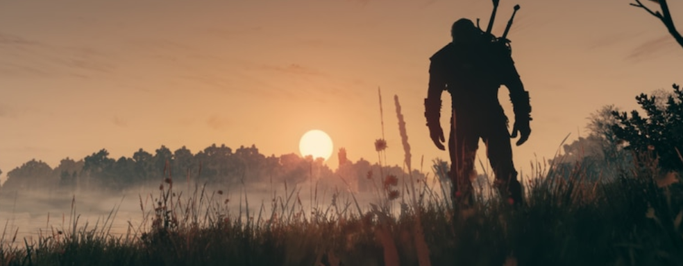 В The Witcher 3 теперь можно сыграть за чародейку и стать совой. Продвинутый мод расширяет систему заклинаний и дарует новые возможности