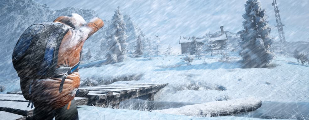 Анонсирован жестокий симулятор выживания Winter Survival Simulator